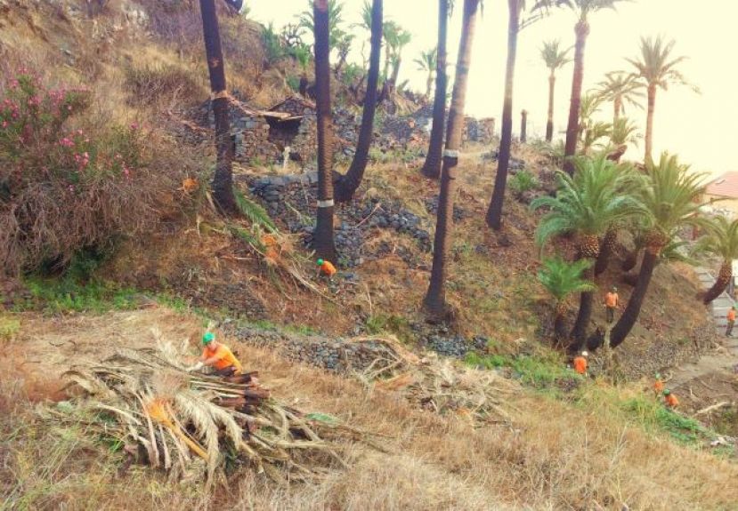 La Gomera: Trabajos de la limpieza y adecuaci&oacute;n de pistas, ca&ntilde;adas y barrancos