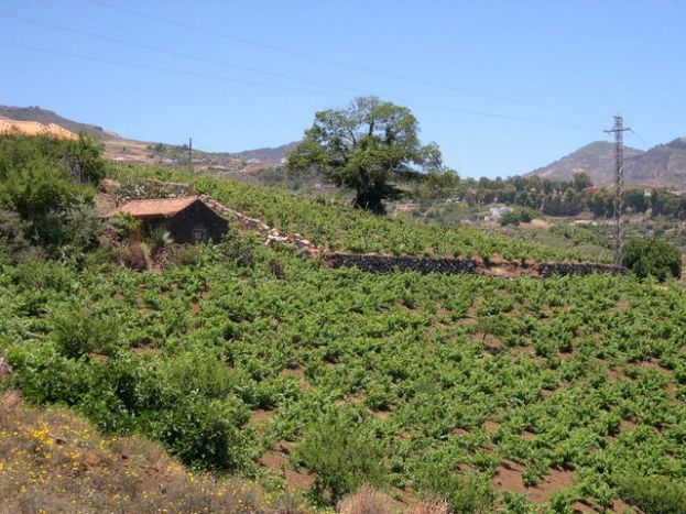 Sistema para convertir el agua generada por los hogares en agr&iacute;cola