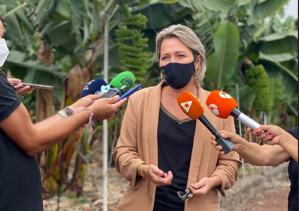 El Gobierno de Canarias garantiza las ayudas por las p&eacute;rdidas en el sector agrario de La Palma