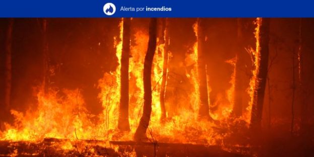 El Gobierno de Canarias actualiza la Alerta M&aacute;xima por Riesgo de Incendios Forestales pasando a Alerta