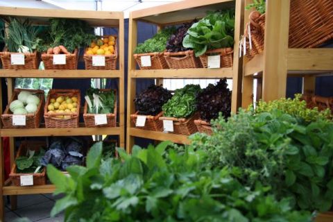 Valleseco saca a licitaci&oacute;n los puestos del Mercado Ecol&oacute;gico &ldquo;Ecovalles&rdquo;