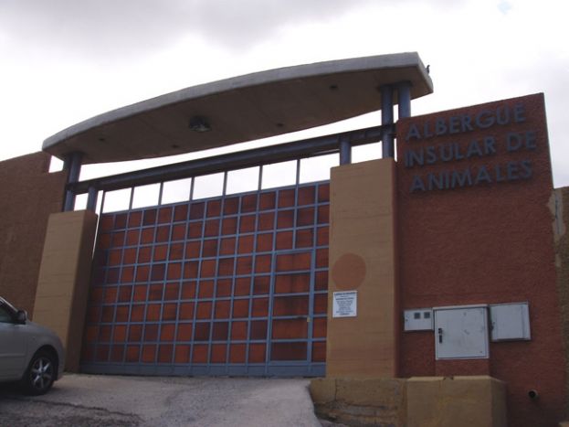 El Cabildo asume la gesti&oacute;n del Albergue Insular de Animales a trav&eacute;s de Gesplan