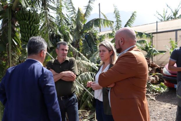 El Gobierno canario incrementa en 571.000 euros las ayudas a los agricultores afectados por el temporal de 2020