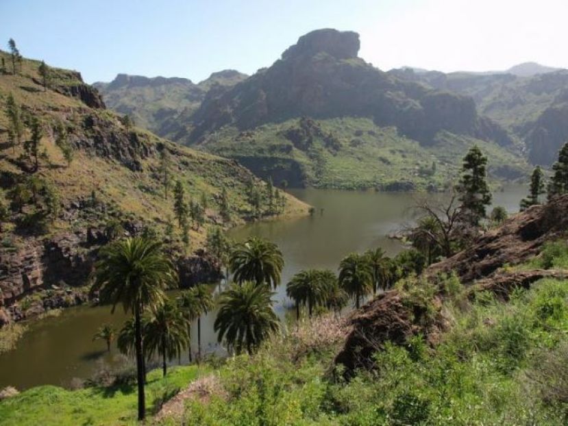 Ben Magec estudiar&aacute; la Declaraci&oacute;n de Impacto Ambiental del proyecto Chira-Soria