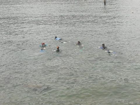 &Eacute;xito en la actividad de snorkel celebrada en la playa de La Aldea