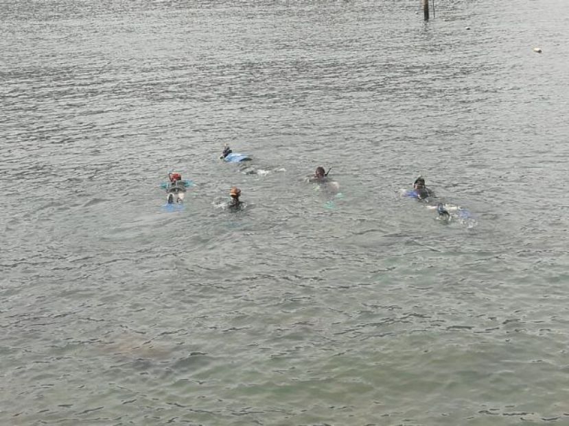 &Eacute;xito en la actividad de snorkel celebrada en la playa de La Aldea