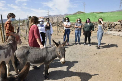 &ldquo;La Jaira de Ana&rdquo;, un espacio libre violencia de g&eacute;nero para mujeres j&oacute;venes