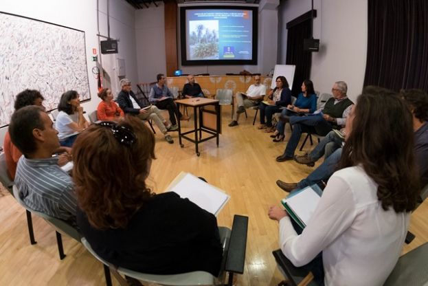 Resultados de dos a&ntilde;os de estudios sobre la palmera en Gran Canaria
