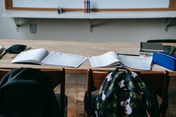 Incorporaci&oacute;n de estudiantes gomeros al Programa de Est&iacute;mulo Talento Matem&aacute;tico