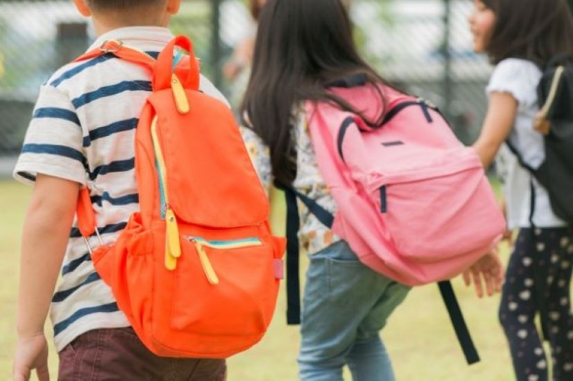 El pr&oacute;ximo lunes se inicia el periodo de solicitud de plaza para segundo ciclo de Infantil, Primaria y ESO