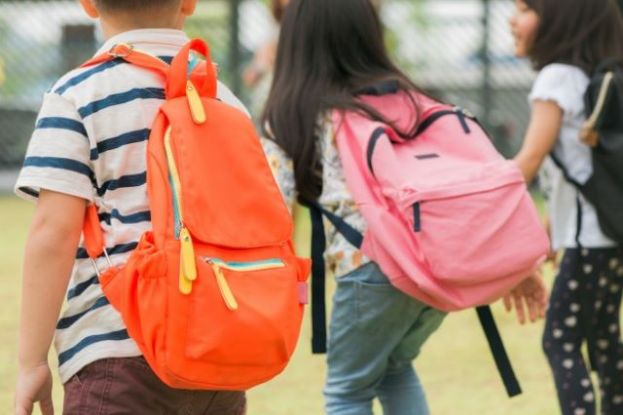 El pr&oacute;ximo lunes se inicia el periodo de solicitud de plaza para segundo ciclo de Infantil, Primaria y ESO