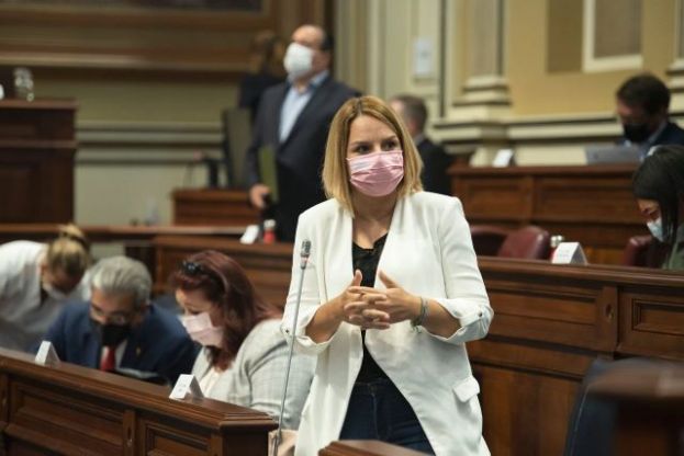 El Gobierno de Canarias destina 14,5 millones de euros a la lucha contra la violencia de g&eacute;nero