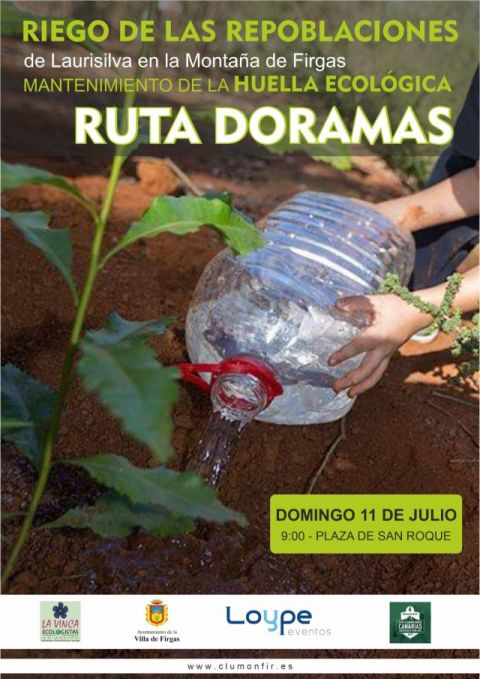 Riego y mantenimiento de las repoblaciones de Laurisilva en la Monta&ntilde;a de Firgas
