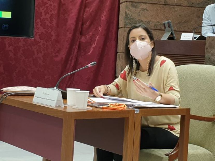 Castilla impulsa un plan de transformaci&oacute;n digital para fomentar el comercio electr&oacute;nico en las empresas locales
