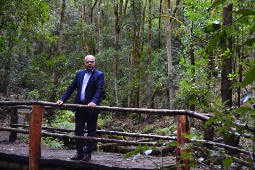 La Gomera: Curbelo hace un llamamiento  para la lucha contra el cambio clim&aacute;tico