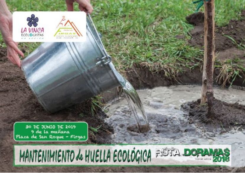 Riego de las repoblaciones de Laurisilva en la Monta&ntilde;a de Firgas