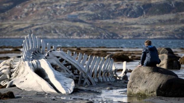 &lsquo;Leviathan&rsquo;, tercera de las pel&iacute;culas del ciclo que impulsa el Club de Cine &lsquo;Cambio de Rollo&rsquo;