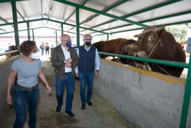 Lo mejor de la caba&ntilde;a ganadera de la isla se muestra en la primera edici&oacute;n virtual de la Feria de Ganado