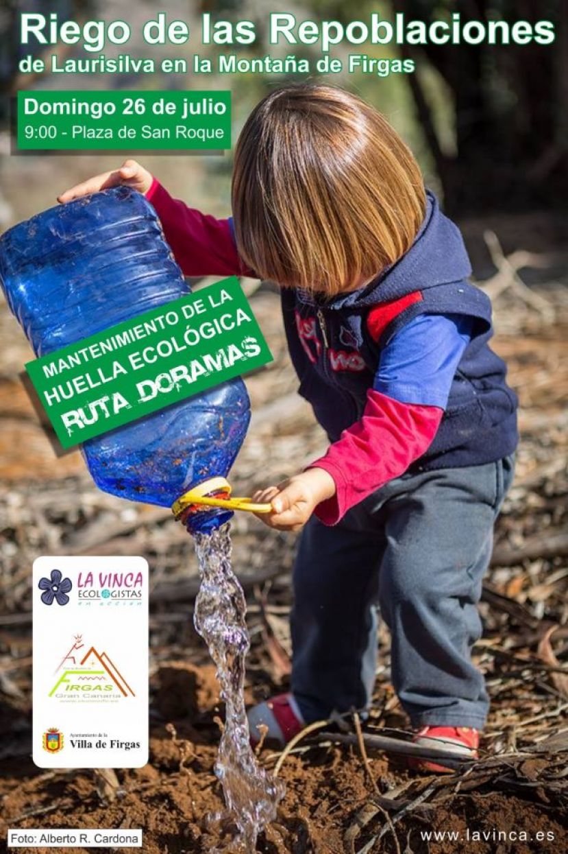 Firgas: Mantenimiento y riego de las repoblaciones de Laurisilva en la Monta&ntilde;a