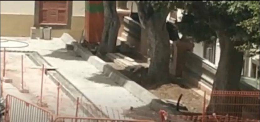 Gu&iacute;a se Respeta pregunta sobre el cuidado de los &aacute;rboles de la Plaza Grande