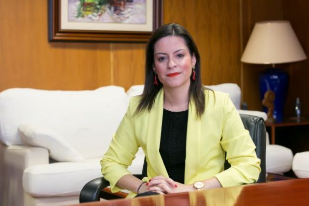 Comercio de Canarias saca a licitaci&oacute;n 600.000 euros para la dinamizaci&oacute;n de Zonas Comerciales Abiertas
