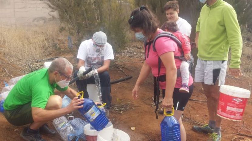 Regados m&aacute;s de cuatrocientos &aacute;rboles de Laurisilva en la Monta&ntilde;a de Firgas