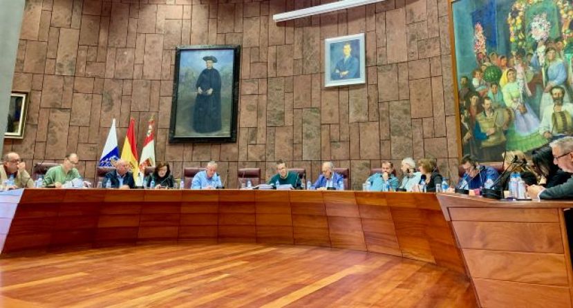 El Pleno respalda la adhesi&oacute;n de La Gomera a la Estrategia de Promoci&oacute;n de la Salud