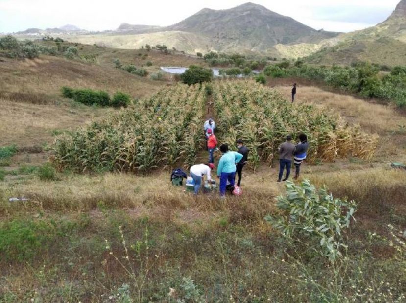 Turc&oacute;n felicita al Proyecto ADAPTaRES por el premio Greening The Islands