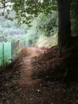 La Vinca denuncia en Valleseco la transformaci&oacute;n de un sendero en pista