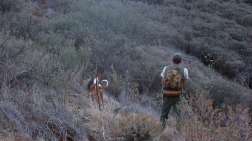 La Gomera: El Cabildo suspende la actividad de caza de este fin de semana