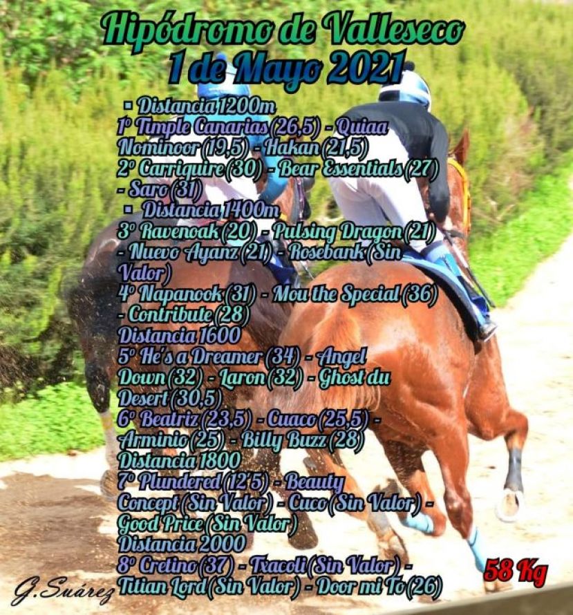 Carreras de caballos en el hip&oacute;dromo de La Laguna de Valleseco