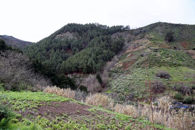Valleseco: Descubrir los recursos h&iacute;dricos a trav&eacute;s del senderismo