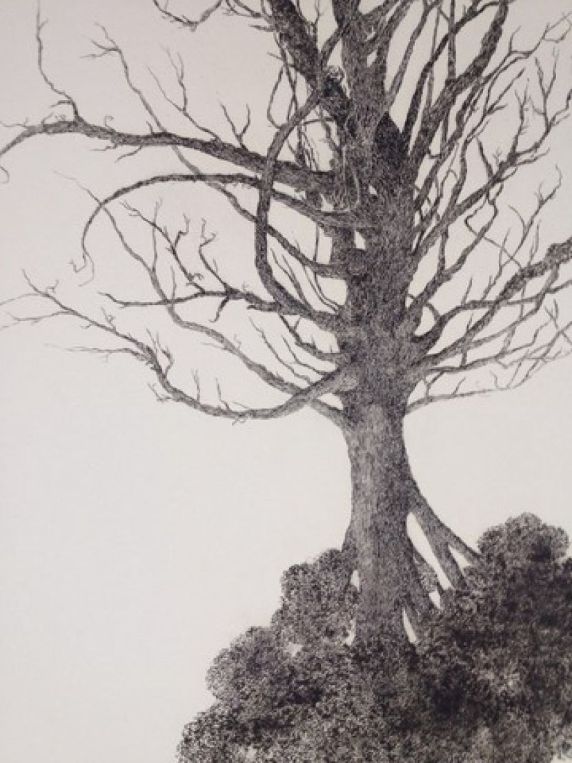 El artista Ricardo Berriobe&ntilde;a gana la 14&ordm; edici&oacute;n del concurso de obra gr&aacute;fica
