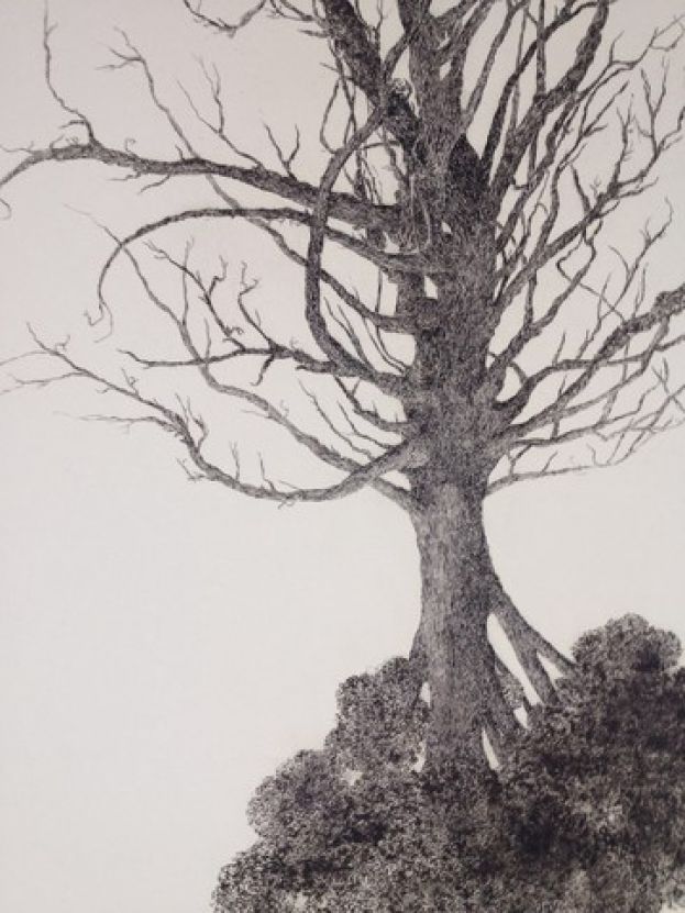 El artista Ricardo Berriobe&ntilde;a gana la 14&ordm; edici&oacute;n del concurso de obra gr&aacute;fica