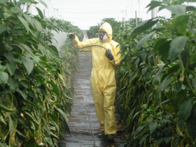 Valleseco: Curso de manipulador de productos fitosanitarios