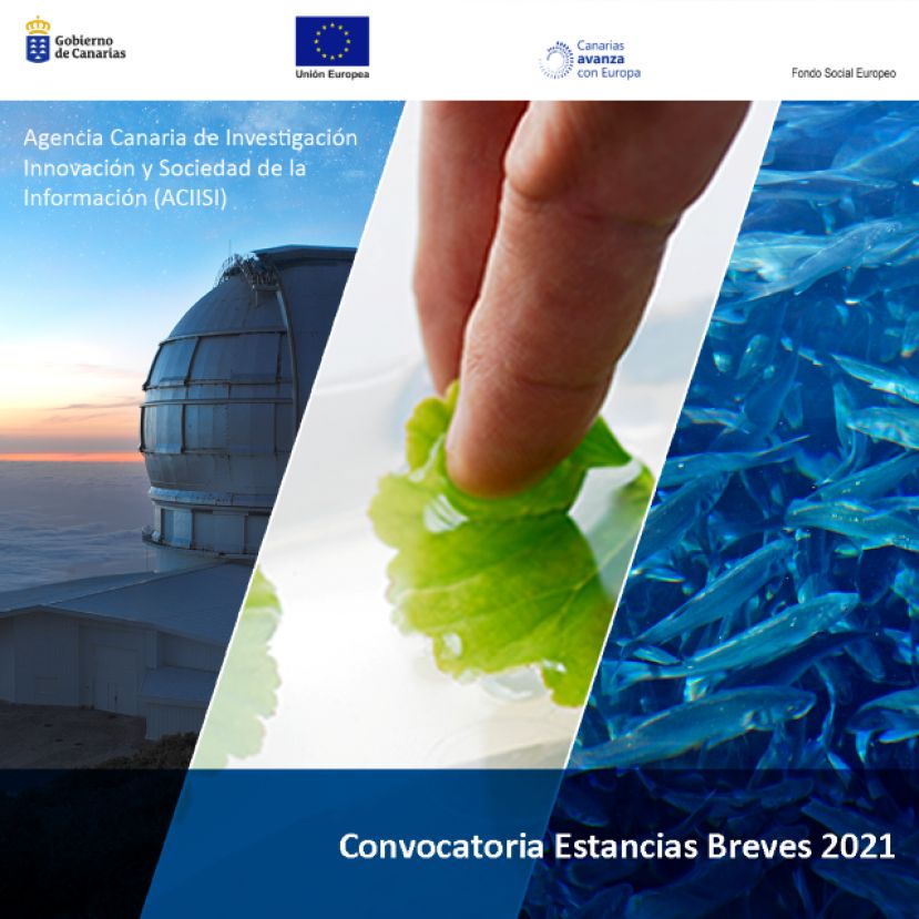 Conocimiento destina 200.000 euros para formaci&oacute;n del personal investigador en estancias breves