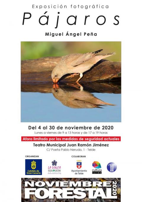 Noviembre Forestal 2020 visita Telde con la Exposici&oacute;n Divulgativa &ldquo;PAJAROS&rdquo;