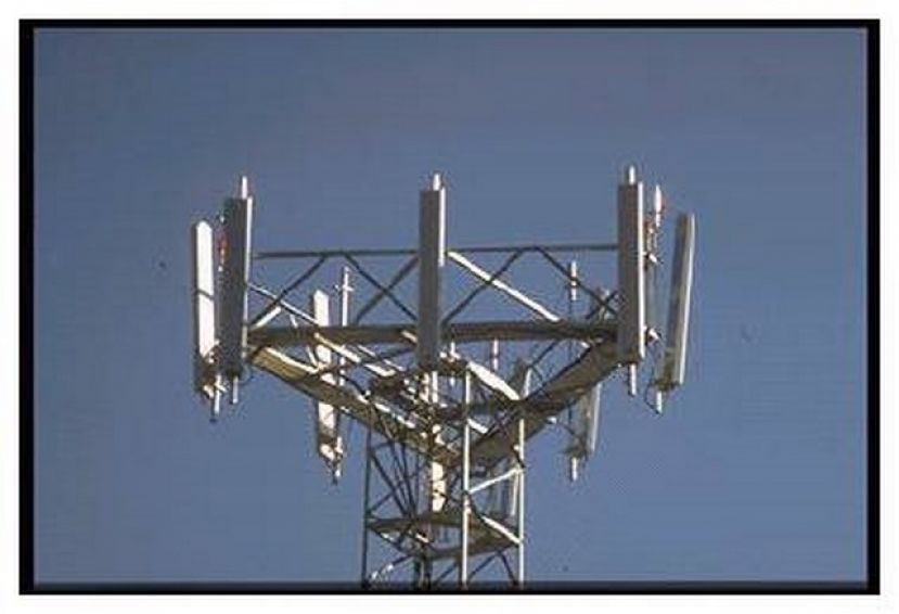 Moya aplaza la decisi&oacute;n sobre la instalaci&oacute;n de las antenas de telefon&iacute;a m&oacute;vil