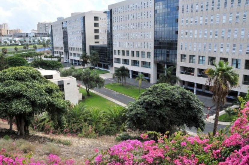 El Hospital Dr. Negr&iacute;n realiza el seguimiento a m&aacute;s de 400 pacientes que padecen lupus eritematoso sist&eacute;mico