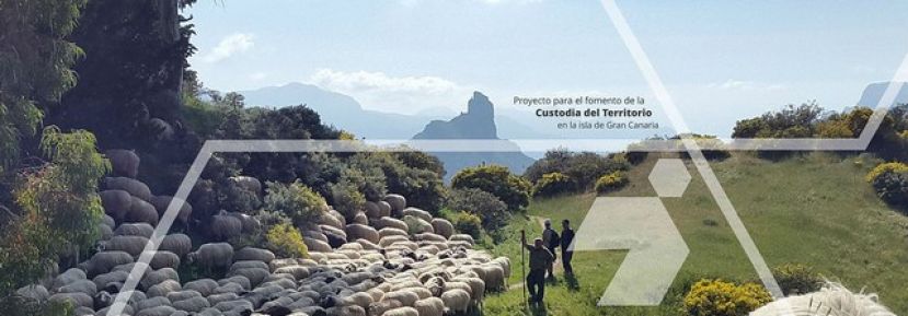El Cabildo implicar&aacute; a la sociedad en la custodia del territorio y el medio natural