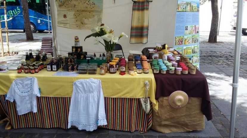 &lsquo;La abeja del guanche&rsquo; de Gran Canaria, elegida la mejor miel extranjera en Italia