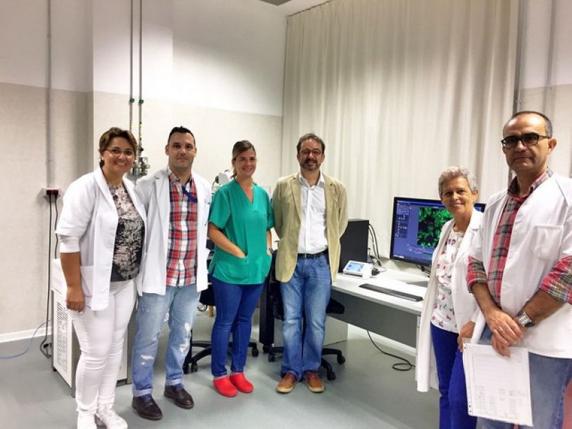 Investigaci&oacute;n pionera para curar heridas con nanofibras de aloe vera y miel