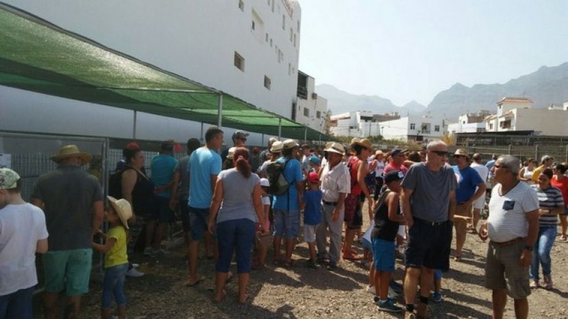 La Aldea: La Feria de Ganado estrena ubicaci&oacute;n