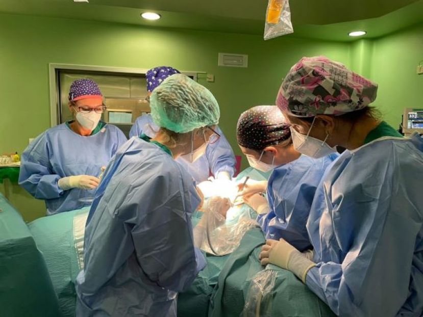 La Unidad de Mama del Hospital Dr. Negr&iacute;n implanta semillas ferromagn&eacute;ticas para localizar ganglios tumorales