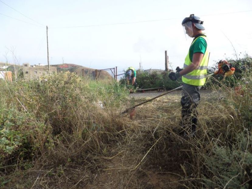 Gu&iacute;a: Solicitud de una subvenci&oacute;n de 86.946 euros del proyecto &lsquo;Ruralia 2020&rsquo;