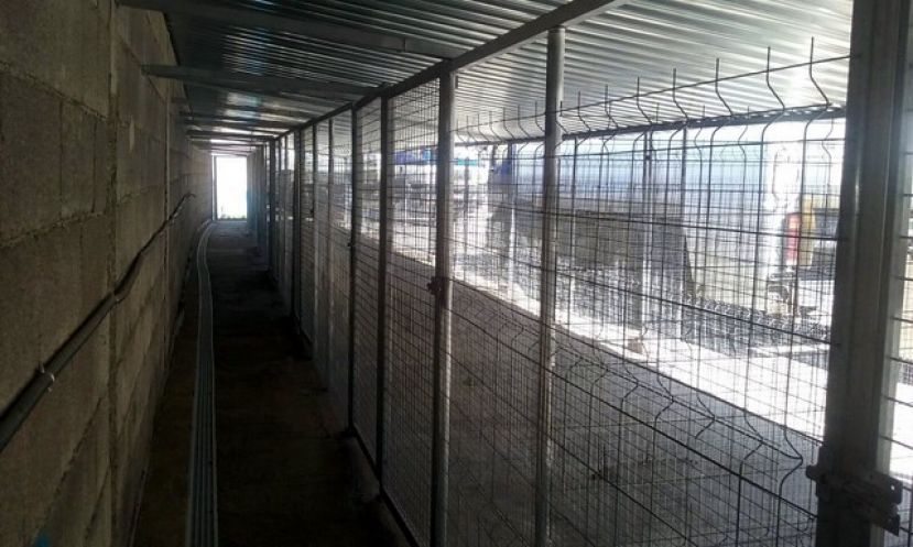 Mog&aacute;n: Acondicionamiento del anexo de la perrera de Puerto Rico