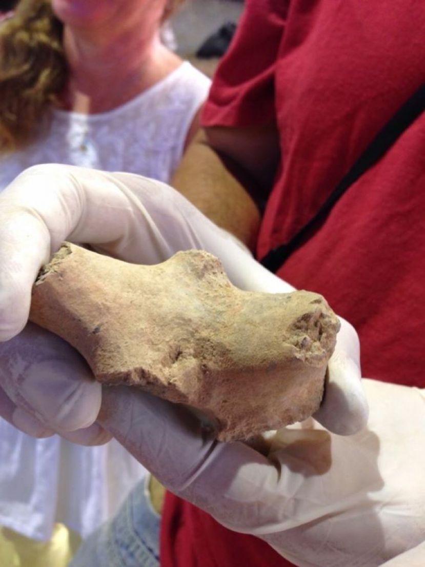 &lsquo;&Iacute;DOLOS Y CONEXIONES&rsquo;, UN NUEVO ENCUENTRO-TALLER PARA INDAGAR E IMAGINAR EN TORNO A LAS TERRACOTAS DE LA COLECCI&Oacute;N CUEVA PINTADA