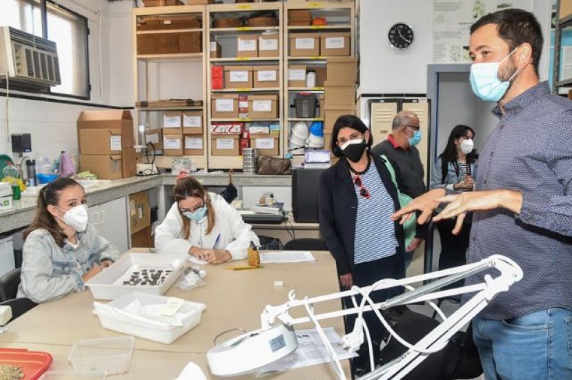 La ULPGC contar&aacute; con un Centro de Arqueolog&iacute;a en el Campus de Humanidades