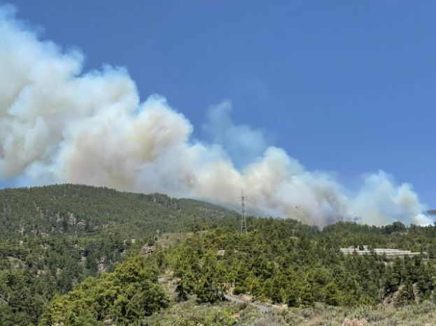El Gobierno de Canarias declara el nivel 2 del INFOCA y asume la direcci&oacute;n del incendio forestal en Tenerife