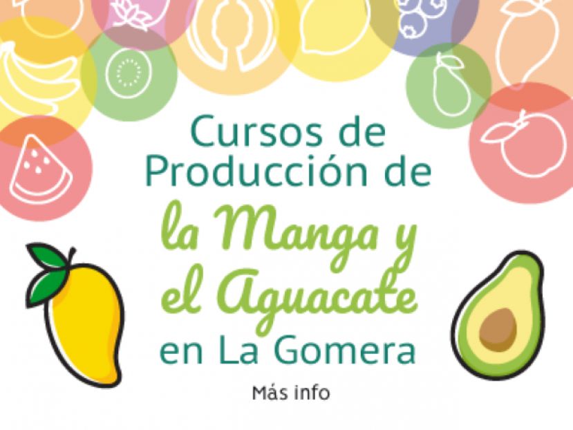 La Gomera: El Cabildo apuesta por un curso sobre producci&oacute;n de la manga y aguacate